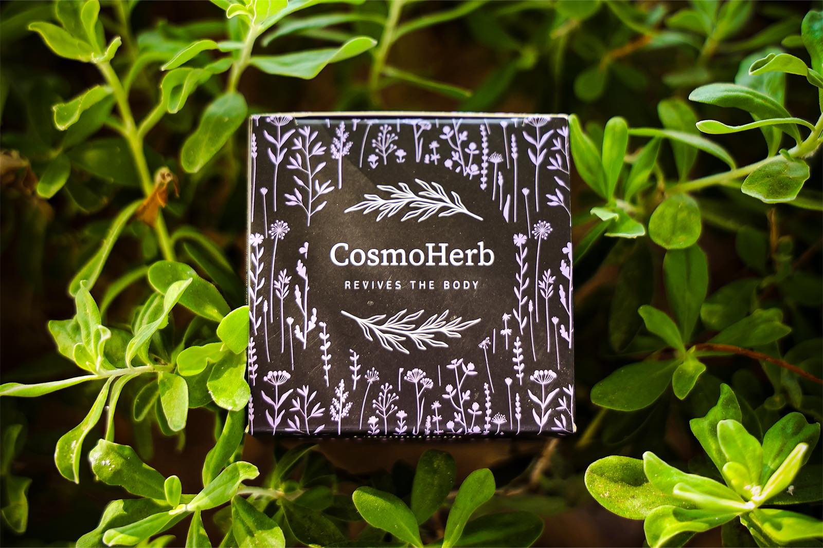 Cosmoherb Multi Plus