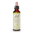 Chestnut Bud Bach™ Original Flower Remedy