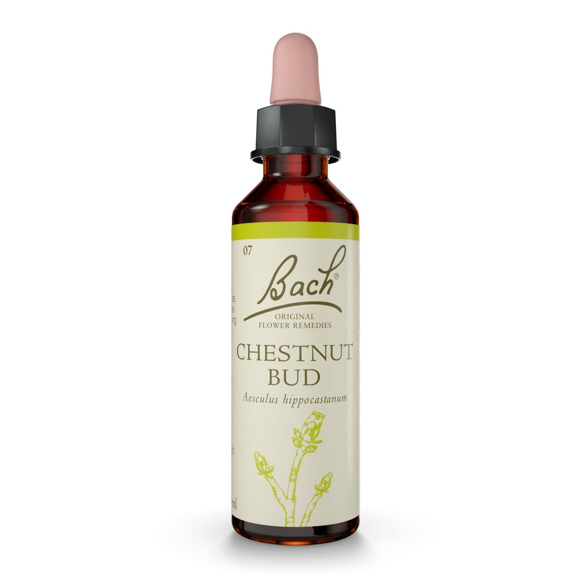 Chestnut Bud Bach™ Original Flower Remedy
