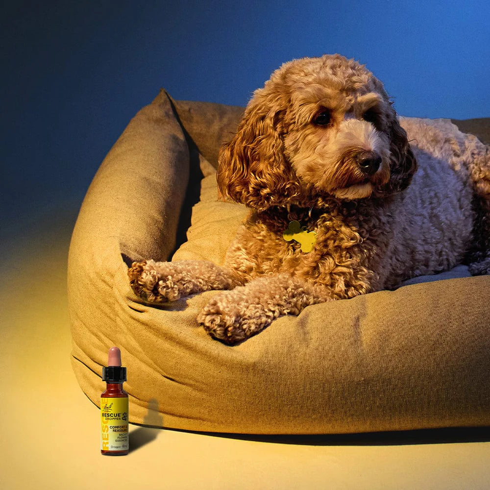 RESCUE Remedy® Pet Dropper (Glycerine)